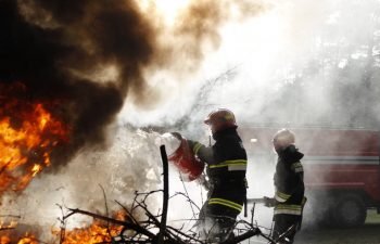 Firemen Putting Out Forest Fire